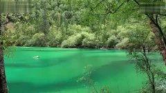 九寨沟视频 高清版,探寻仙境秘境的绝美画卷