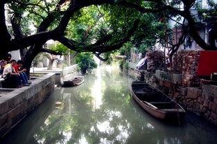 小洲村视频,探寻广州老城区的韵味与变迁