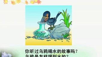 乌鸦喝水教学视频,智慧与创新的经典寓言解析
