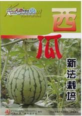 大棚甜瓜整枝技术视频,大棚甜瓜高效整枝技术要点解析