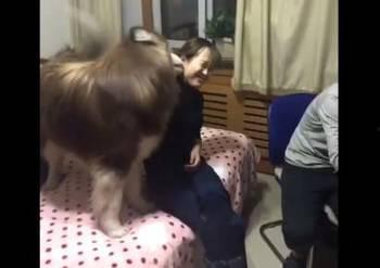 关于在床上的流氓视频,揭秘网络流氓行为的阴暗面